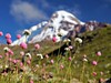 Kavkaz - výstup na Kazbek